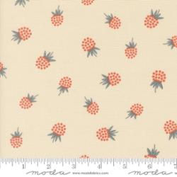 Nature's Sketchbook Pearl 39075 11