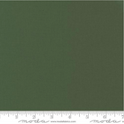 Bella Solids Kansas Green 9900 149